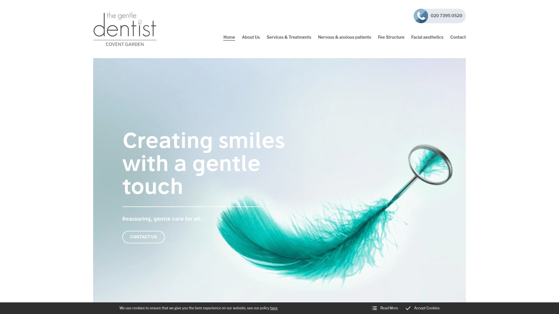 The Gentle Dentist